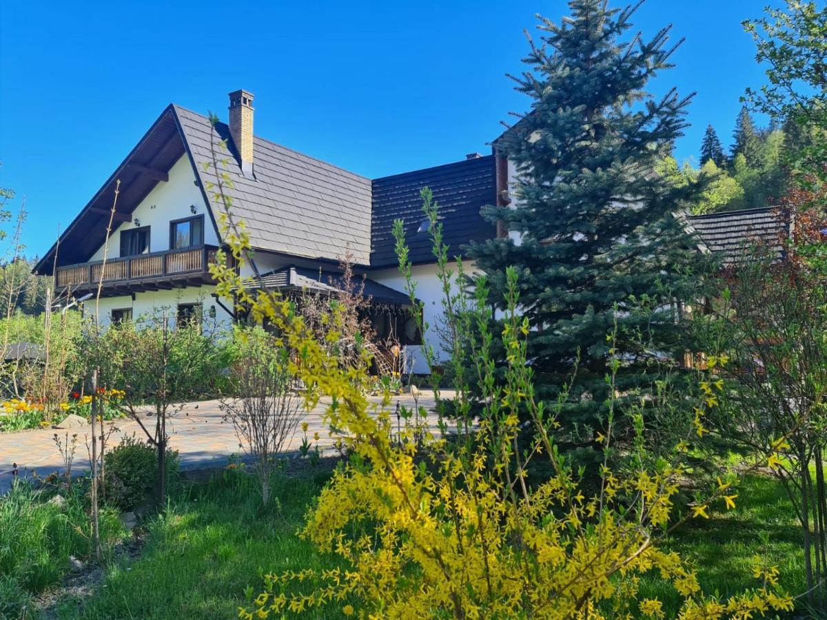 Готель Casa Baciu Фунду-Молдовей Екстер'єр фото