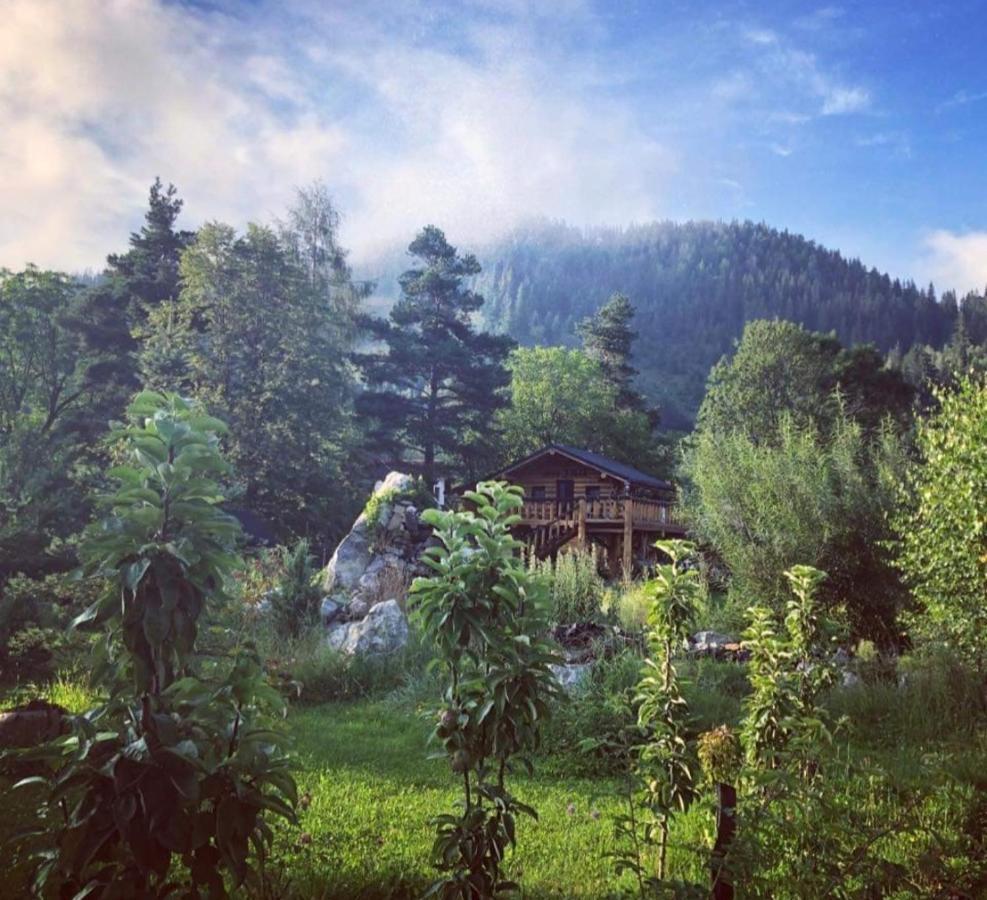 Готель Casa Baciu Фунду-Молдовей Екстер'єр фото