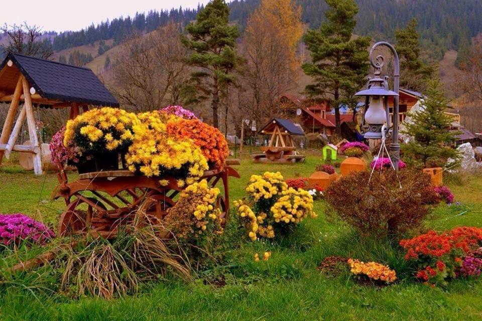 Готель Casa Baciu Фунду-Молдовей Екстер'єр фото