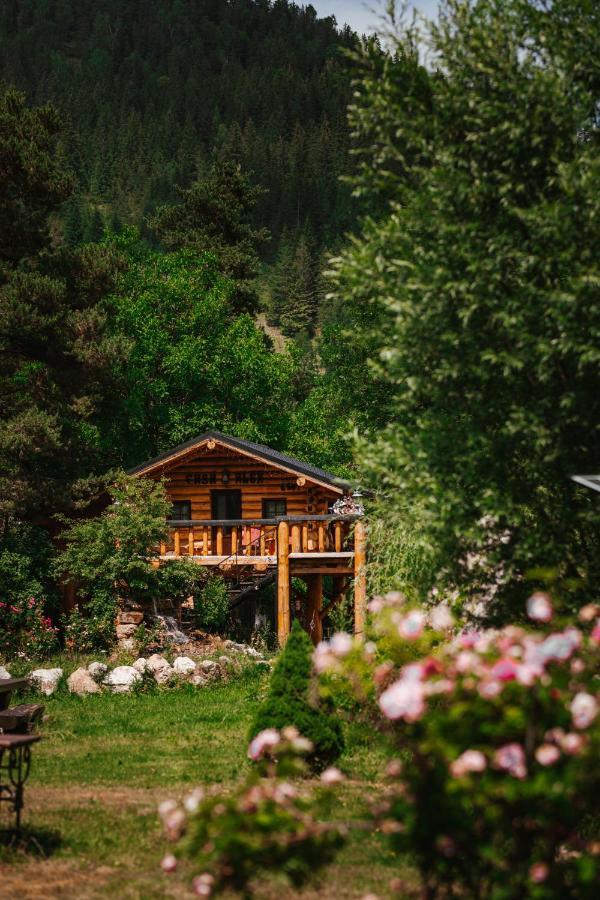 Готель Casa Baciu Фунду-Молдовей Екстер'єр фото