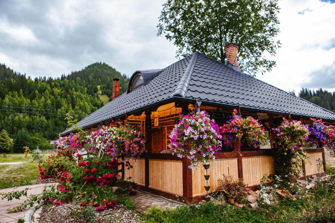 Готель Casa Baciu Фунду-Молдовей Екстер'єр фото